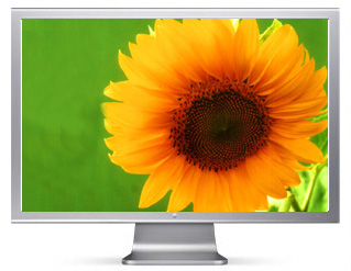 30 inch Display